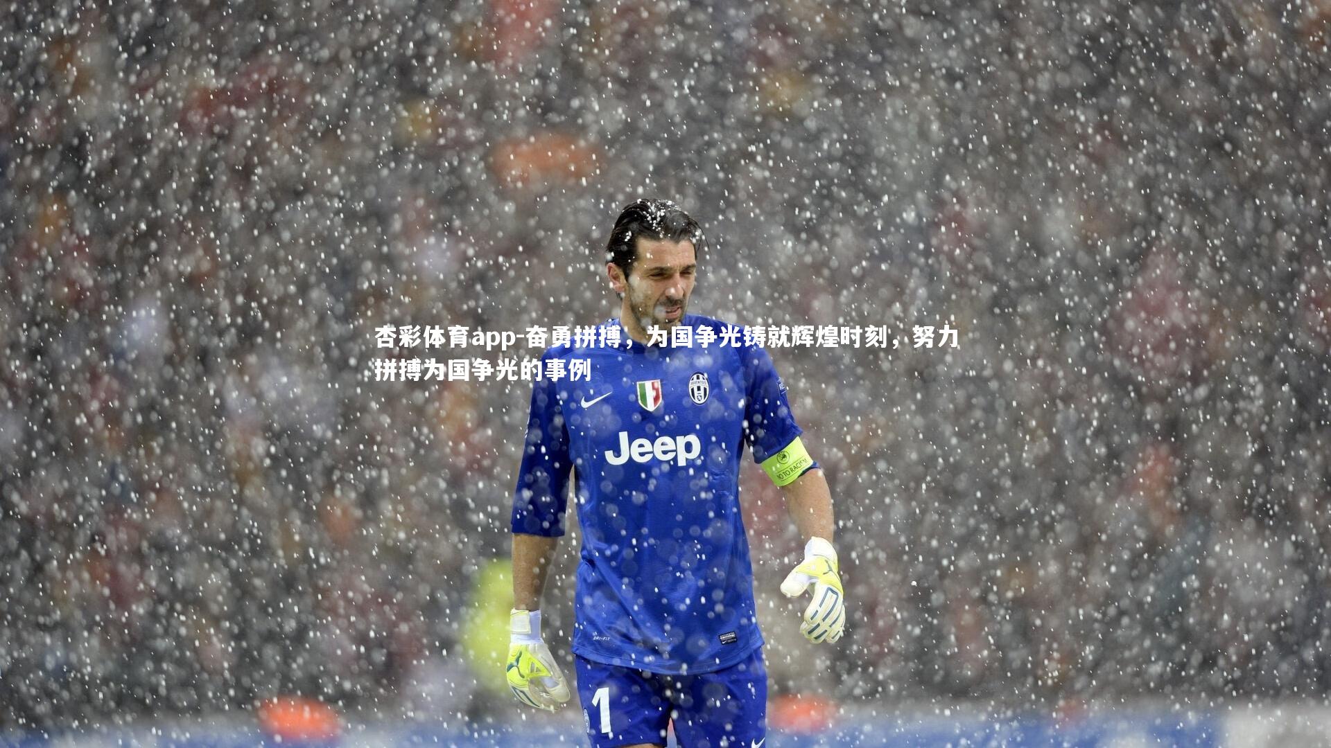 杏彩体育app-奋勇拼搏，为国争光铸就辉煌时刻，努力拼搏为国争光的事例