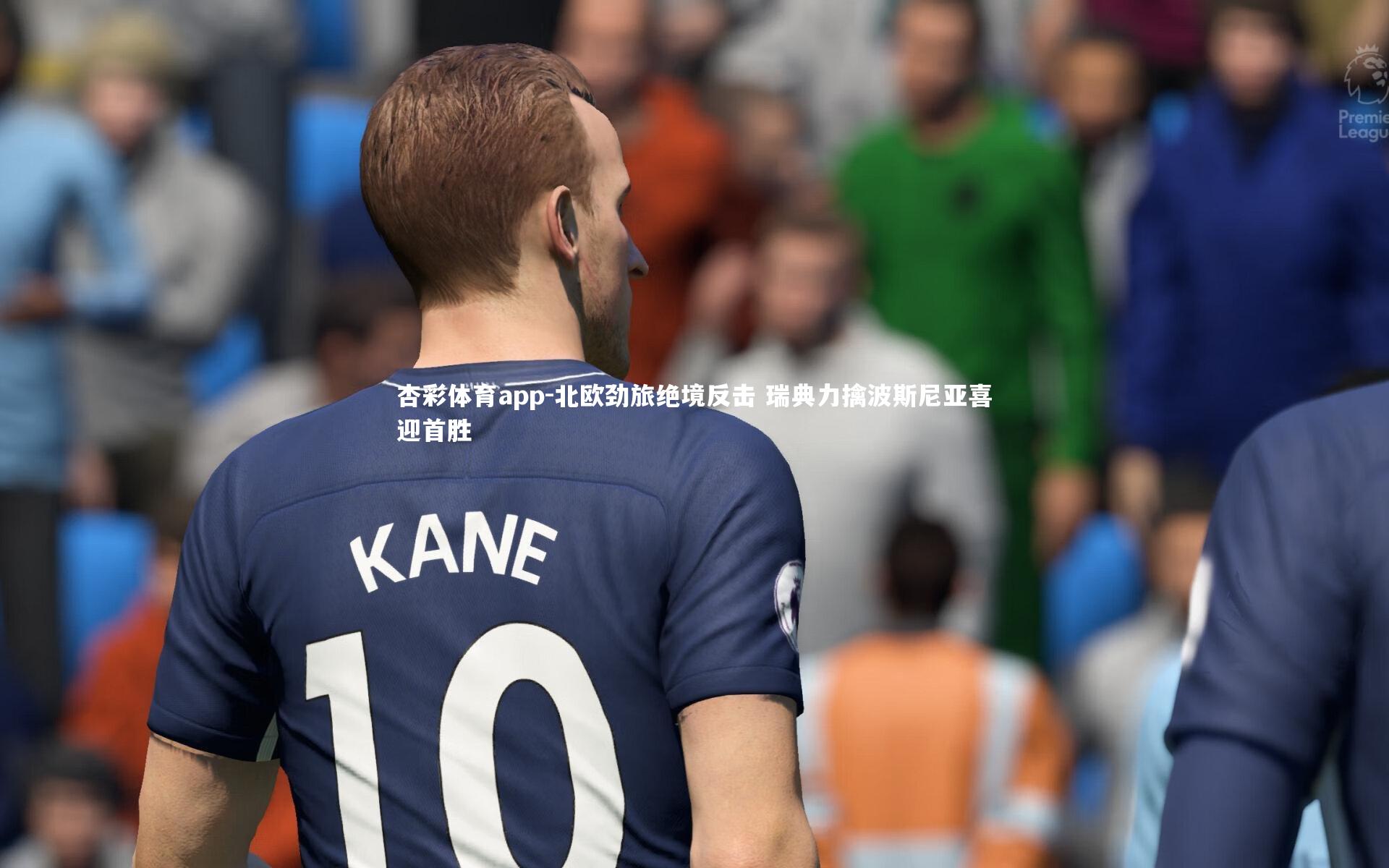 杏彩体育app-北欧劲旅绝境反击 瑞典力擒波斯尼亚喜迎首胜
