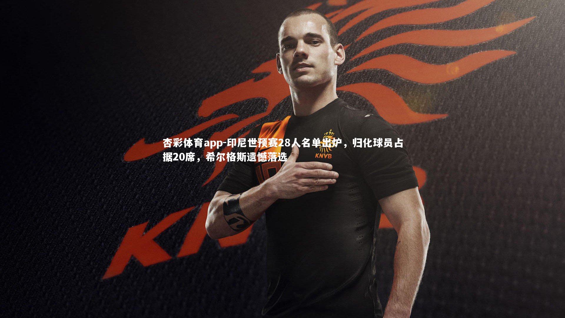 杏彩体育app-印尼世预赛28人名单出炉，归化球员占据20席，希尔格斯遗憾落选